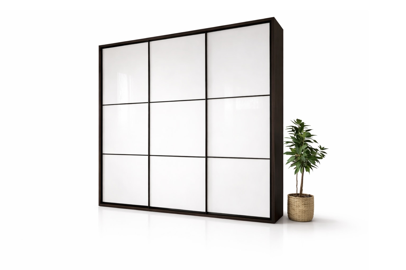 Купити Шафа купе фарбоване скло за 23000 грн